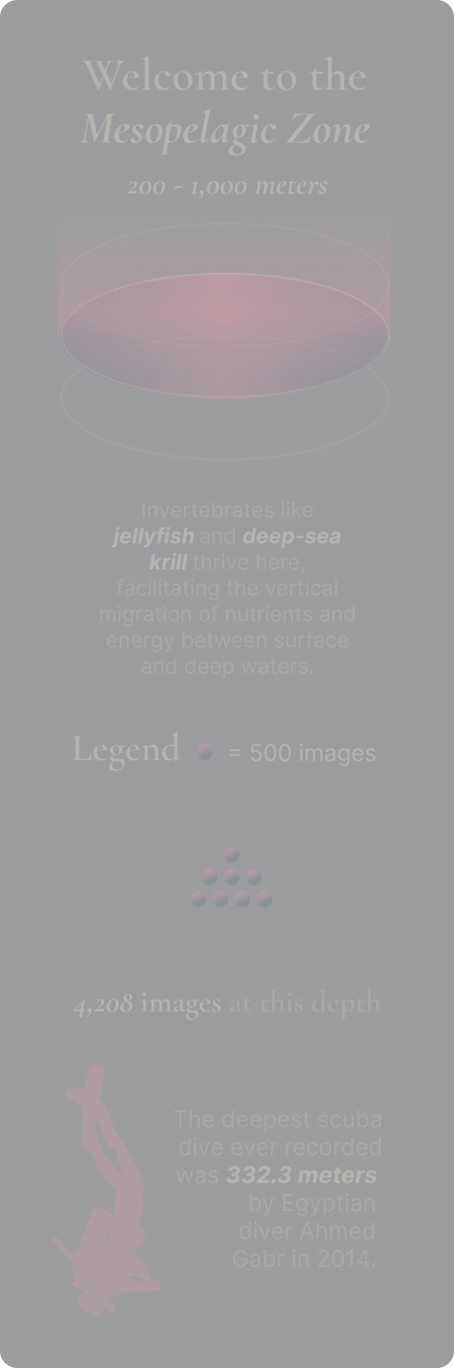 Mesopelagic zone specimen card, Hyalocylis striata