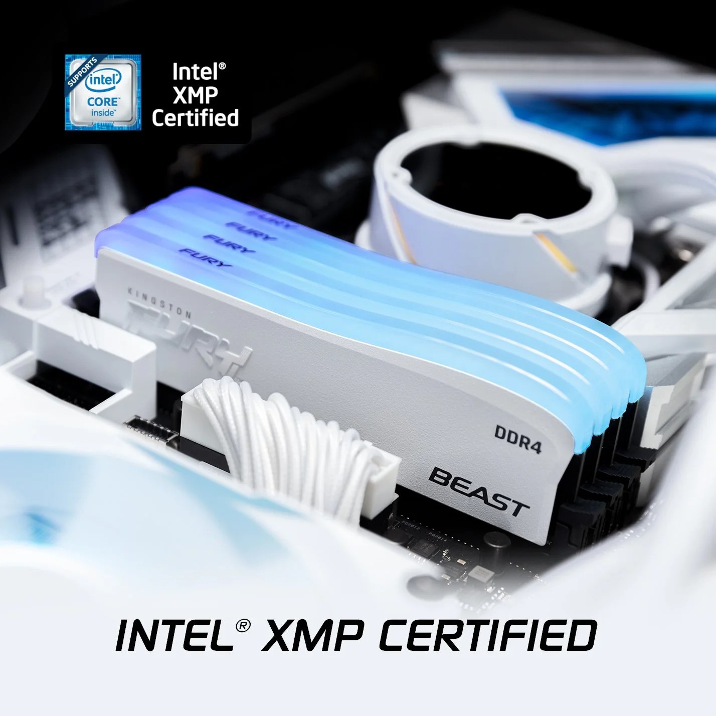 Kingston FURY Beast DDR4 RGB Special Edition web asset, view 3