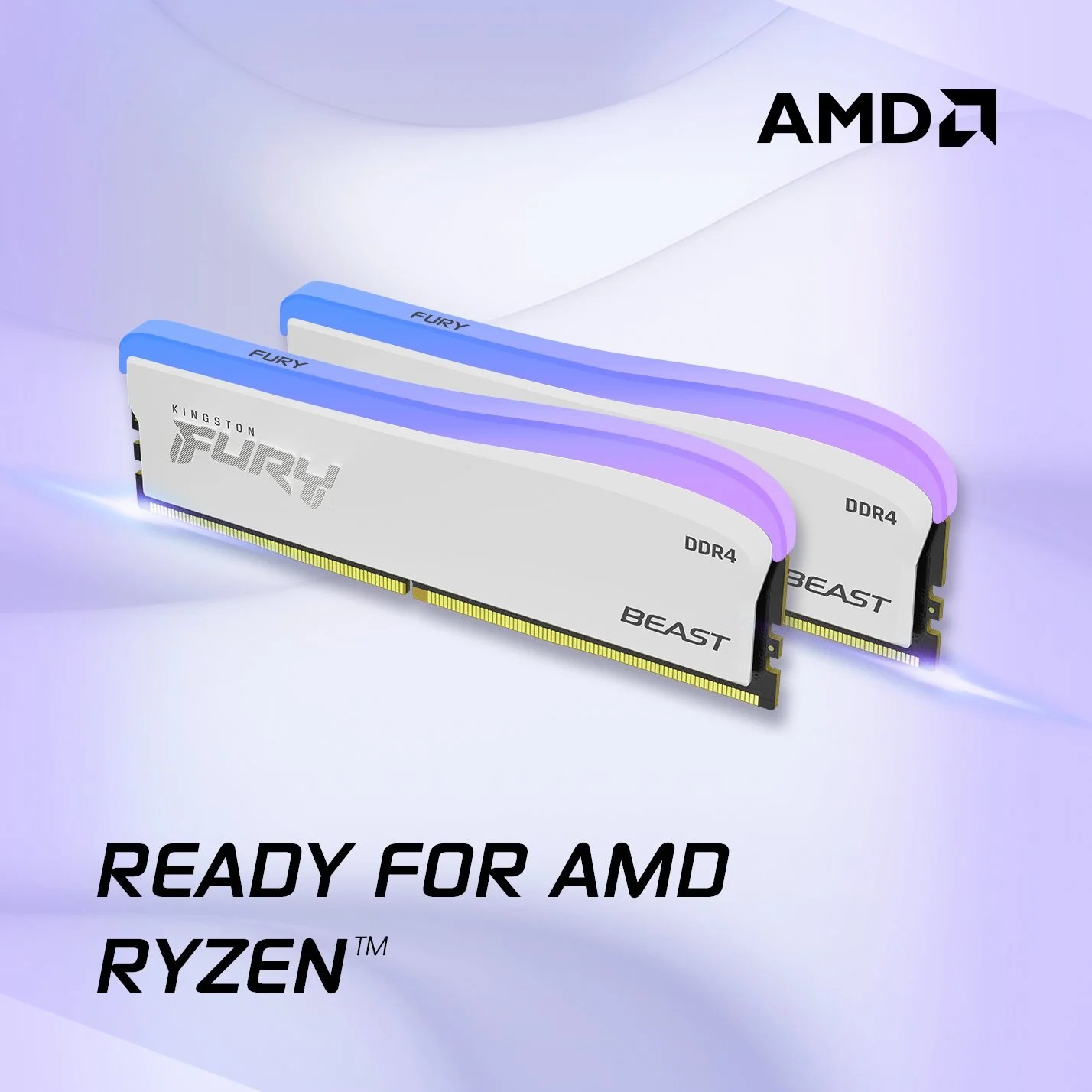 Kingston FURY Beast DDR4 RGB Special Edition web asset, view 4